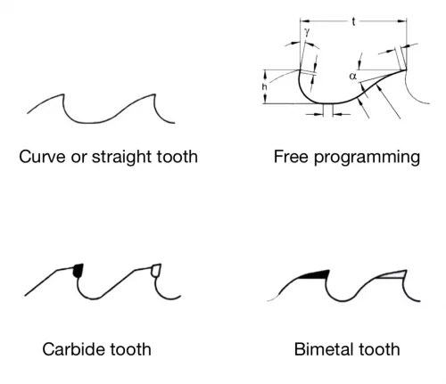 Tooth%20shapes