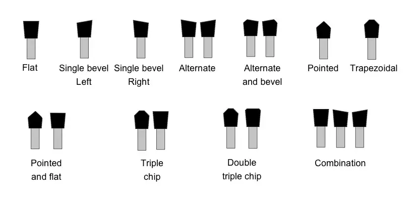 Formas del dorso del diente estándar
